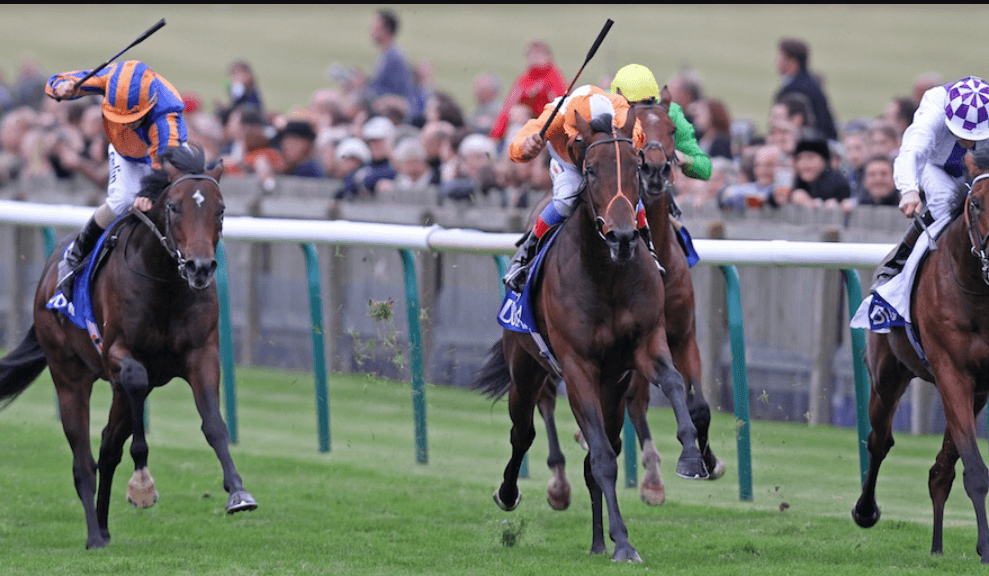 What Genetics Reveal About Horse Speed and Strength