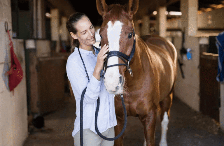 Using Technology to Monitor Horse Health